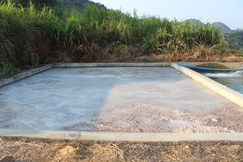 有机肥种植茶树